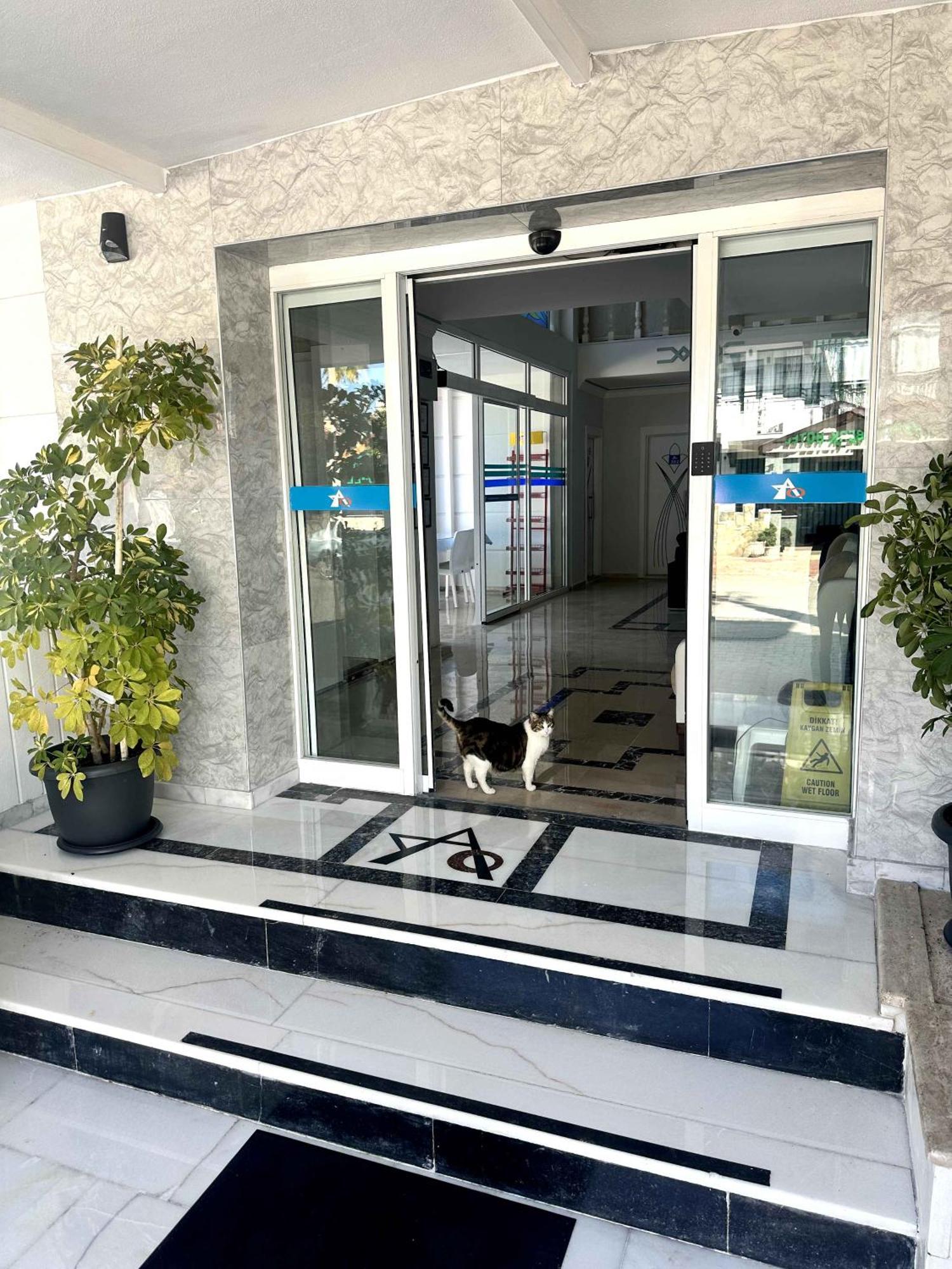 Amsterdam Boutique Hotel Kemer Eksteriør billede
